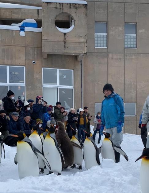 旭山動物園-Asahiyama-Zoo