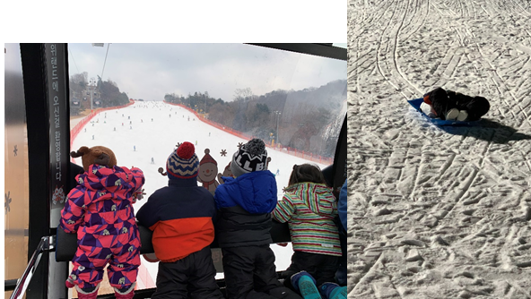 洪川大明渡假村